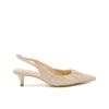 SLINGBACK - CECCONELLO