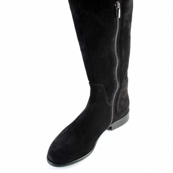 STIVALE - ELISA LANCI