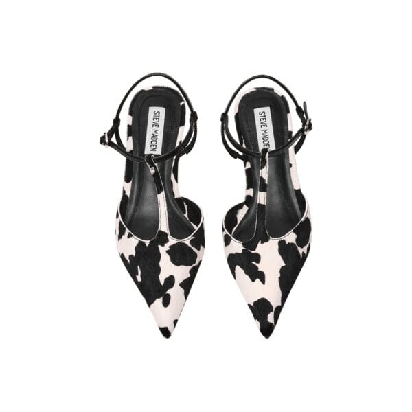 CHARLESTON - STEVE MADDEN