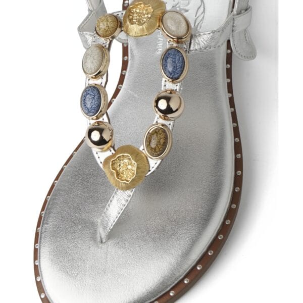 INFRADITO - CARYATIS