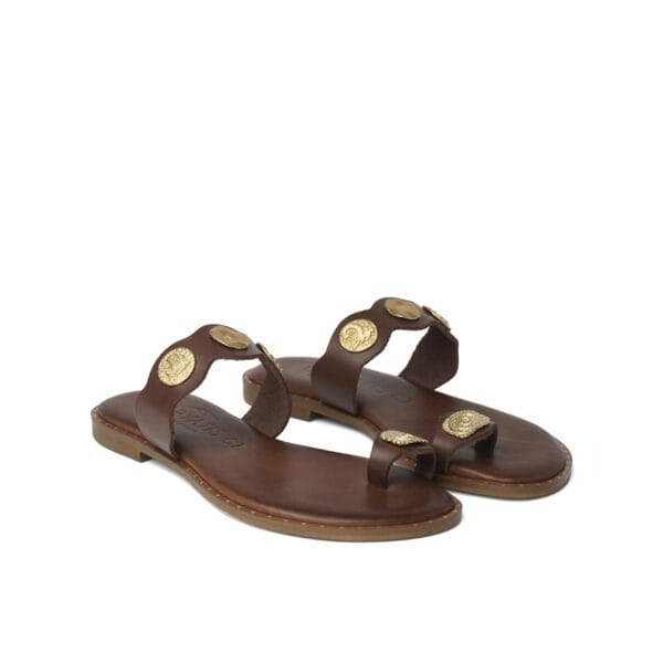 INFRADITO - CARYATIS