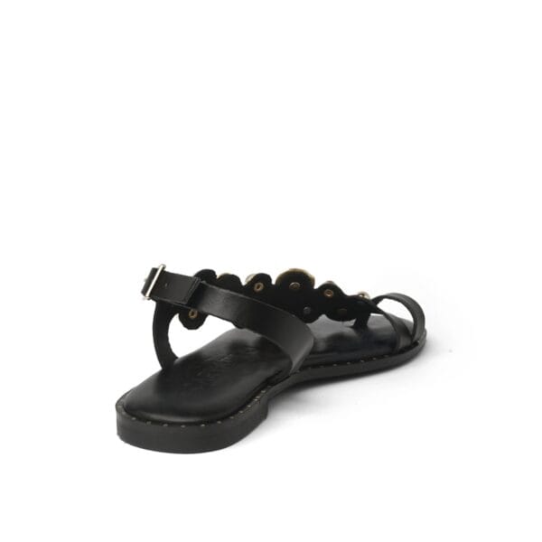 INFRADITO - CARYATIS