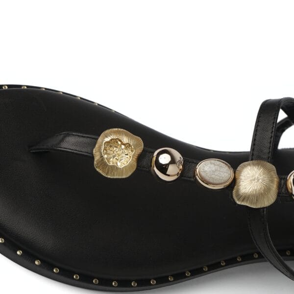 INFRADITO - CARYATIS