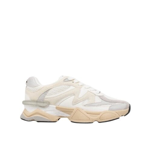 SNEAKERS - STEVE MADDEN